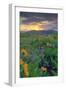 Across the Flower Field at Sunrise, Rowena Plateau-Vincent James-Framed Photographic Print