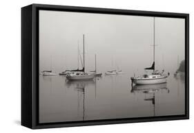 Across the Lake - BW-Tammy Putman-Framed Stretched Canvas