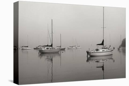 Across the Lake - BW-Tammy Putman-Stretched Canvas