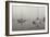 Across the Lake - BW-Tammy Putman-Framed Photographic Print