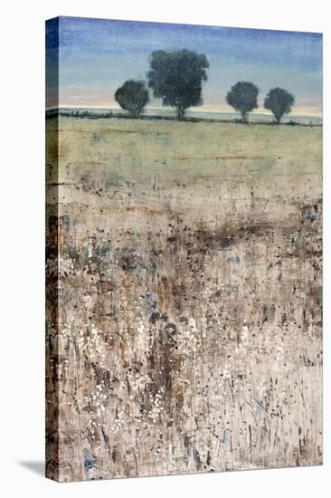 Across The Meadow-Tim O'toole-Stretched Canvas