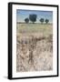 Across The Meadow-Tim O'toole-Framed Giclee Print