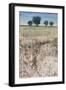 Across The Meadow-Tim O'toole-Framed Giclee Print