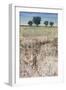 Across The Meadow-Tim O'toole-Framed Giclee Print