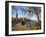 Across the River Tay from Norrie Miller Park, Perth, Perth and Kinross, Scotland-Mark Sunderland-Framed Photographic Print