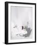 Across the Street XIII-Joshua Schicker-Framed Giclee Print