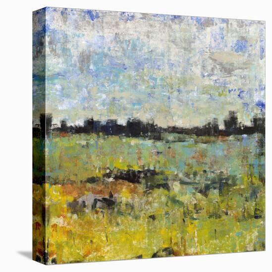 Across the Tall Grass I-Tim O'toole-Stretched Canvas