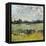 Across the Tall Grass II-Tim O'toole-Framed Stretched Canvas