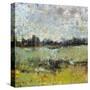 Across the Tall Grass II-Tim O'toole-Stretched Canvas