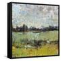 Across the Tall Grass II-Tim O'toole-Framed Stretched Canvas