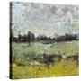 Across the Tall Grass II-Tim O'toole-Stretched Canvas