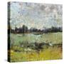 Across the Tall Grass II-Tim O'toole-Stretched Canvas