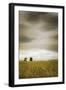 Across the Wheat Field-Don Schwartz-Framed Art Print