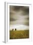 Across the Wheat Field-Don Schwartz-Framed Art Print