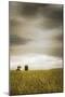 Across the Wheat Field-Don Schwartz-Mounted Art Print