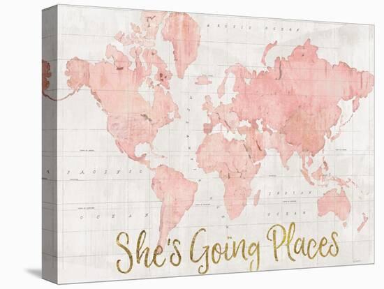 Across the World Shes Going Places Pink-Sue Schlabach-Stretched Canvas