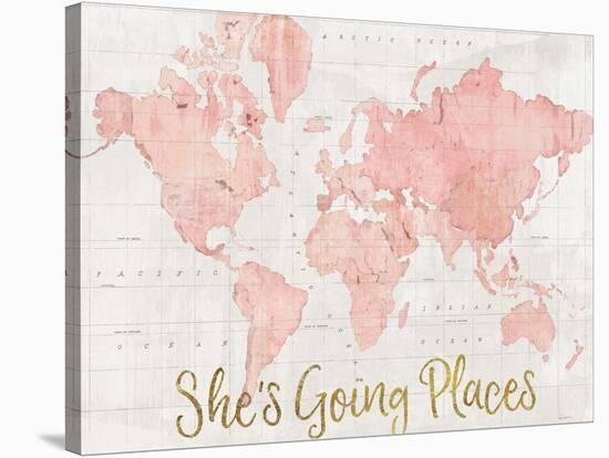 Across the World Shes Going Places Pink-Sue Schlabach-Stretched Canvas