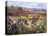 Across to Burgate-Timothy Easton-Stretched Canvas