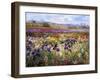 Across to Burgate-Timothy Easton-Framed Giclee Print