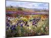 Across to Burgate-Timothy Easton-Mounted Giclee Print