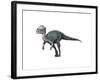 Acrotholus Audeti, Late Cretaceous of Canada-null-Framed Art Print