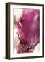 Acrylic Explosion-Jonny Troisi-Framed Art Print