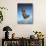 Acrylic Painting of the Martin Baker Ejection Seat-null-Art Print displayed on a wall