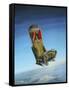 Acrylic Painting of the Martin Baker Ejection Seat-null-Framed Stretched Canvas