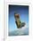 Acrylic Painting of the Martin Baker Ejection Seat-null-Framed Art Print