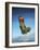Acrylic Painting of the Martin Baker Ejection Seat-null-Framed Art Print
