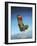 Acrylic Painting of the Martin Baker Ejection Seat-null-Framed Art Print