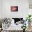 Act on a Sofa (Almaiisa)-Amedeo Modigliani-Art Print displayed on a wall