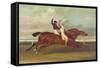 Actaeon Beating Memnon in the Great Subscription Purse at York August 1826, c.1831-David Dalby of York-Framed Stretched Canvas