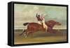 Actaeon Beating Memnon in the Great Subscription Purse at York August 1826, c.1831-David Dalby of York-Framed Stretched Canvas