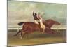 Actaeon Beating Memnon in the Great Subscription Purse at York August 1826, c.1831-David Dalby of York-Mounted Giclee Print