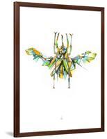 Actaeon Beetle-Alexis Marcou-Framed Art Print