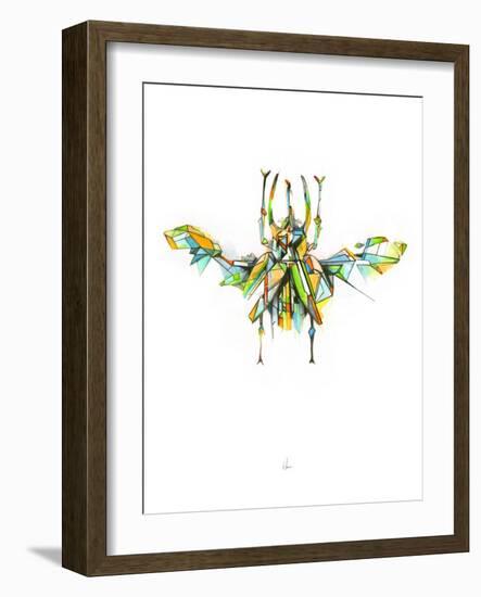 Actaeon Beetle-Alexis Marcou-Framed Art Print