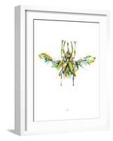 Actaeon Beetle-Alexis Marcou-Framed Art Print