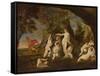 Actaeon Metamorphoses into a Stag (Oil on Canvas)-Francesco Albani-Framed Stretched Canvas