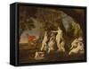 Actaeon Metamorphoses into a Stag (Oil on Canvas)-Francesco Albani-Framed Stretched Canvas