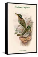 Actenoides Lindsayi - Lindsay's Kingfisher-John Gould-Framed Stretched Canvas