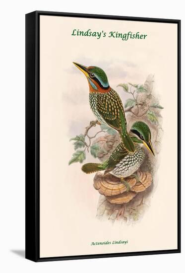 Actenoides Lindsayi - Lindsay's Kingfisher-John Gould-Framed Stretched Canvas