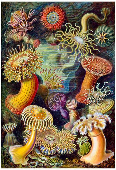 Poster, , large