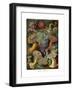 Actiniae or Actiniaria, 1899-1904-null-Framed Giclee Print