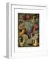 Actiniae or Actiniaria, 1899-1904-null-Framed Giclee Print