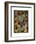 Actiniae or Actiniaria, 1899-1904-null-Framed Giclee Print
