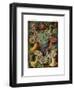 Actiniae or Actiniaria, 1899-1904-null-Framed Giclee Print