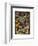 Actiniae or Actiniaria, 1899-1904-null-Framed Giclee Print