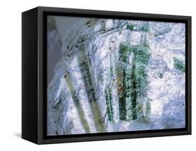 Actinolite-Walter Geiersperger-Framed Stretched Canvas