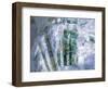 Actinolite-Walter Geiersperger-Framed Photographic Print